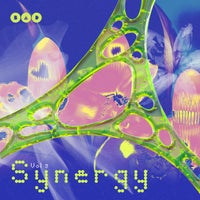 Joe Milli - Dub 9 album artwork