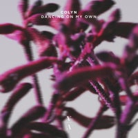 Colyn - Dancing On My Own (Extended Mix) album artwork