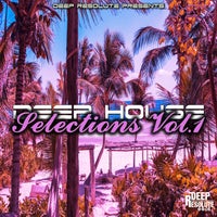 VA - DEEP HOUSE SELECTIONS VOL.1 [DHS001]