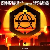 David Puentez & Albert Neve - Superstar album artwork