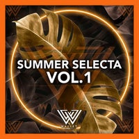 VA - Summer Selecta Vol. 1 [Wallet Music]