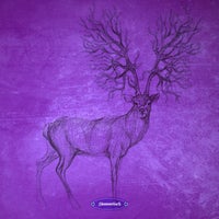 VA - Deep Beatz 2023 [Stammtisch]