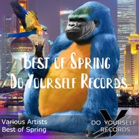 VA - Best of Spring Do Yourself Records [Do Yourself Records]