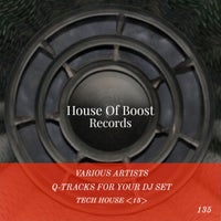 VA - Q-Tracks for your Dj Set Tech House 15 [House Of Boost Records]