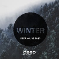 VA - Winter Deep House 2023 [DHN361]