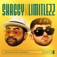 Limitlezz & Shaggy - Boombastic album artwork