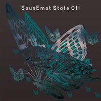 VA - Sounemot State 011 [SounEmot State]