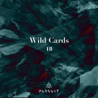 VA - Wild Cards 18 [PRST084]