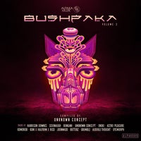 VA - BushpaKa, Vol. 3 [ALPAK080]