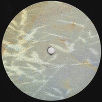 Cousin - Pistol Shrimp album artwork