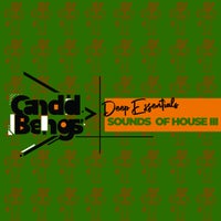 Deep Essentials - Sounds Of House - (Candid Beings)