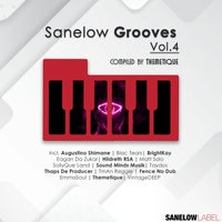 VA - Sanelow Grooves Vol. 4 - (Sanelow Label)