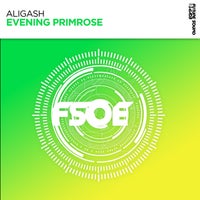 ALIGASH - Evening Primrose album artwork