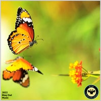 Blaq Owl & Donavan Lewis - Monarch [Blaq Owl Music]
