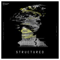 VA - Voltaire Music Pres. Structured Vol. 12 [VOLTCOMP1117]