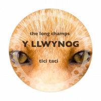 The Long Champs - Y Llwynog (Rich Lane remix) album artwork