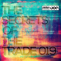 VA - The Secrets Of The Trade 019 - (Piston Recordings )