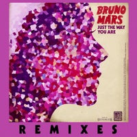 Bruno Mars - Just the Way You Are (Steve Smart & Westfunk Club Mix) album artwork
