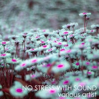 VA - No Stress With Sound [WELLKRAUD Collections]