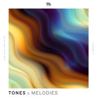 VA - Tones & Melodies, Vol. 9 [VMCOMP876]