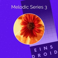 VA - Melodic Series 3 [EINSD031]