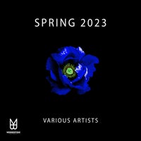 VA - Spring '23 MOON171