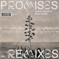 Calvin Harris & Sam Smith - Promises (Sonny Fodera Disco Mix) album artwork