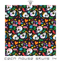 VA - Tech House Skulls, Vol. 14 [SAB152]