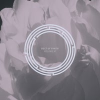 VA - Best Of RYNTH Vol. 6 [RYNTH156]