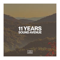 VA - 11 Years Sound Avenue [SA025LP]