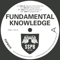 Fundamental Knowledge - 1994-20 (Sarah Farina Remix) album artwork
