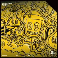 James Hype - Wild album artwork