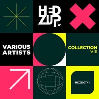 VA - Collection VIII HDZDGT41