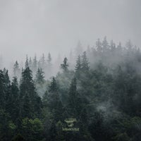 VA - The Sounds of Nature вЂ“ Vol.2 [Traumnovelle]