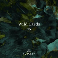 VA - Wild Cards 15 [PRST073]