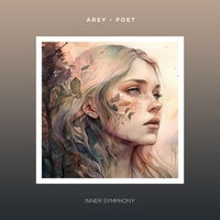 Arey - Poet (Solidmind Remix) album artwork