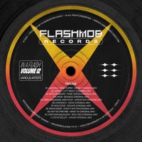 VA - In A Flash Vol. 12 [FMR236]