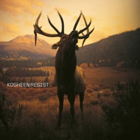 Kosheen - Catch (2021 Remaster) album artwork
