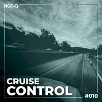 VA - Cruise Control 010 [LW Recordings]