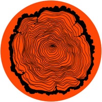 Basti Grub - Ohr Batch Im Kongo (feat. Basos) album artwork