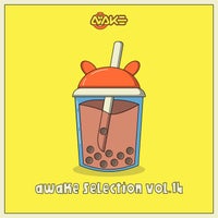 VA - AWK Selection Vol. 14 [AWK Recordings]