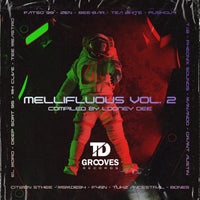 VA - Mellifluous Vol. 2 Compiled By Looney Dee [TDGrooves Records]