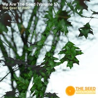 VA - The Best of the Seed 2022 [The Seed]