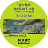 Tyree Cooper - Turn Up the Bass (Tyree Cooper Turn Up the House Mix) album artwork