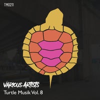 VA - Turtle Musik Vol. 8 [Turtle Musik]