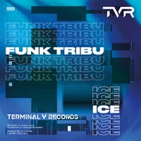 Funk Tribu - Ice album artwork