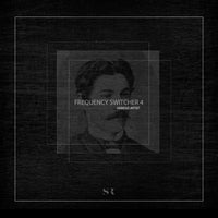 VA - Frequency Switcher - Vol. 4 [Selected Records]