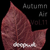 VA - Autumn Air Vol. 11 [DeepWit Recordings]