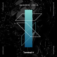 VA - Bangers, Vol. 5 [TERM203]