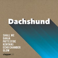 Dachshund - Shall We album artwork